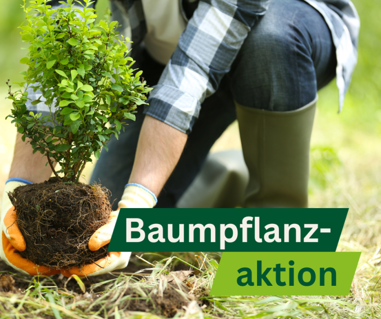 Baumpflanzaktion der AL/GRÜNE Rödermark