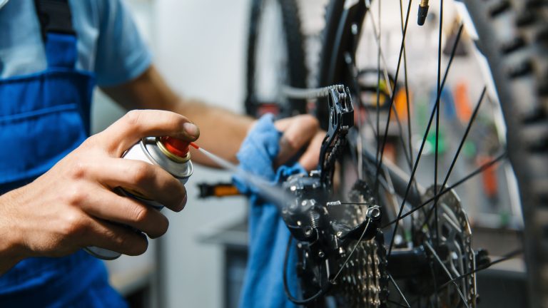 2025: Fahrradwerkstatt Hainburg u.a.